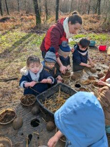 Le bois étoilé (GS CP: février 2026)