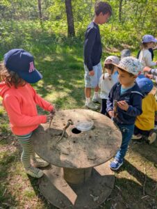 Bois étoilé (28/04/26)